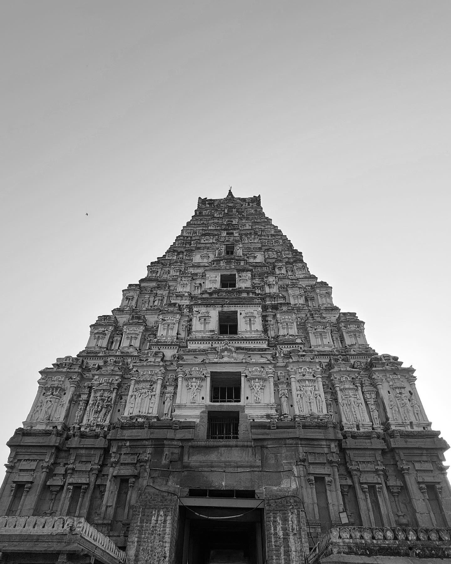 Description of Photo 1